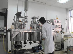 安吉白茶 桑葉復合功能性飲料的研制及其體內外抗氧化特性研究